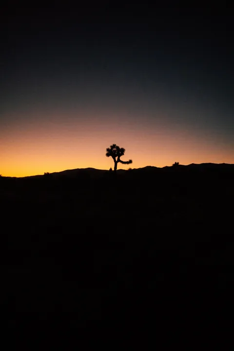 I hiked 2650 miles from Mexico to Canada on the Pacific Crest Trail