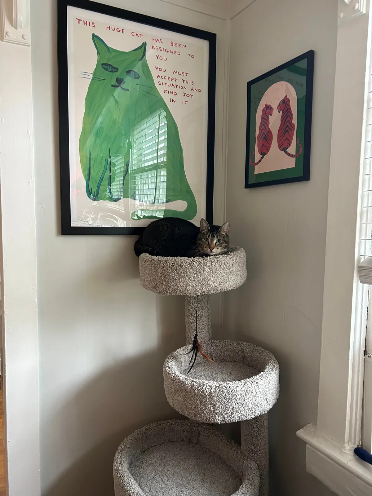 My first solo apartment - ATL, GA