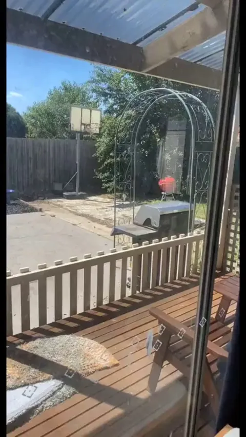 Cat Adopts and Welcomes Stray Kitten