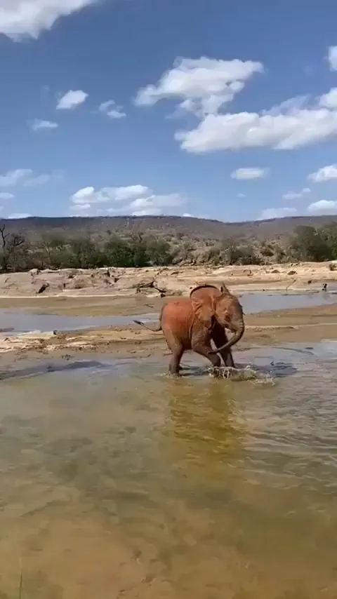 This video made me cry out of pure happiness he’s so DAMN HAPPY