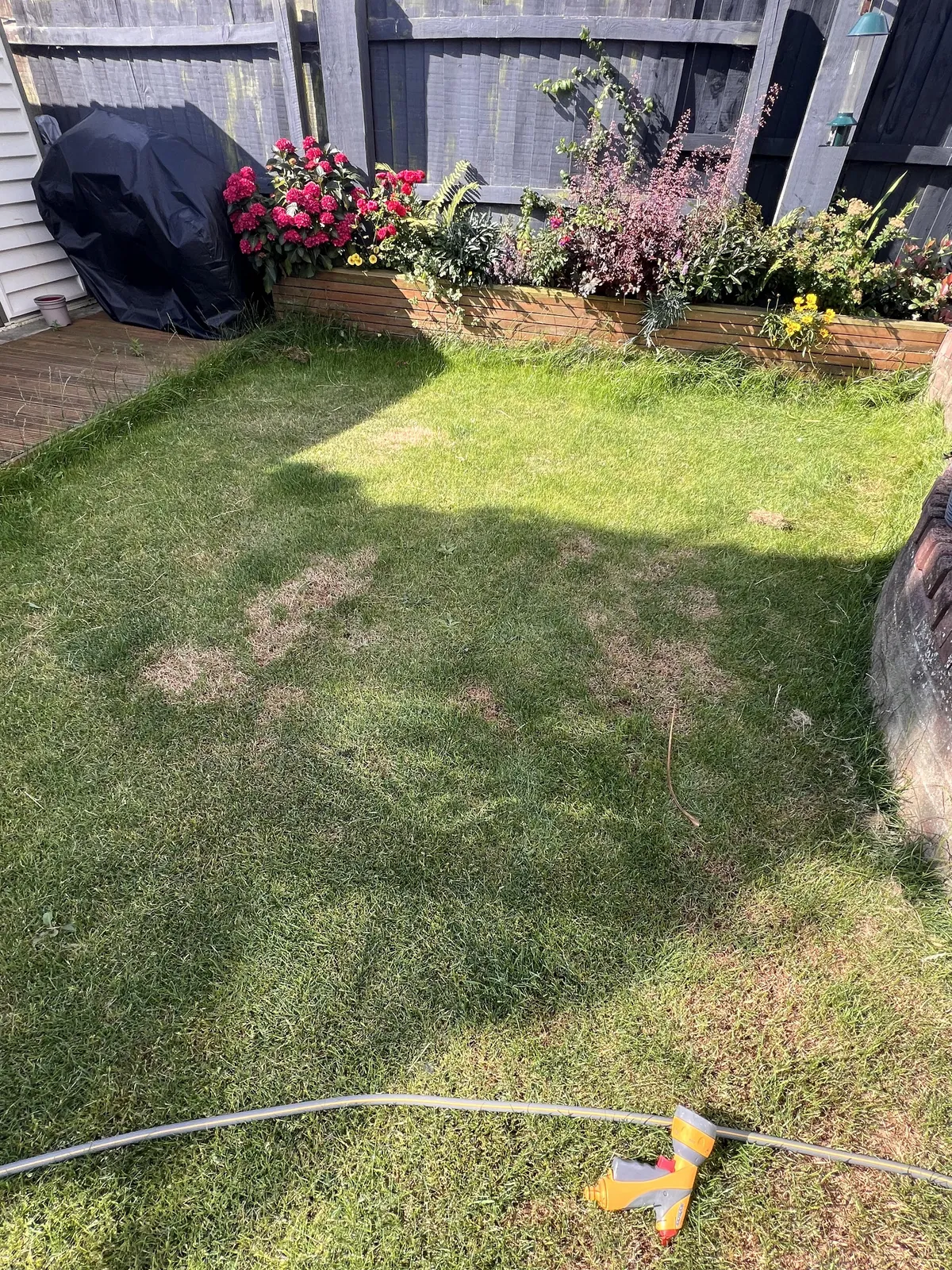 Went away for a month, neighbour mowed our lawn without asking…broke the grass and broke the lawnmower.