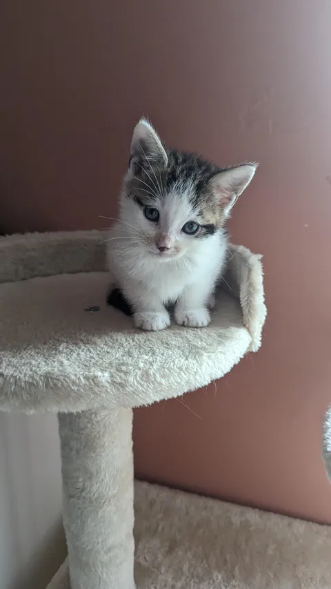 Unfortunately he's no longer this small