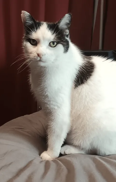 Am I safe sleeping tonight, or is she plotting revenge?