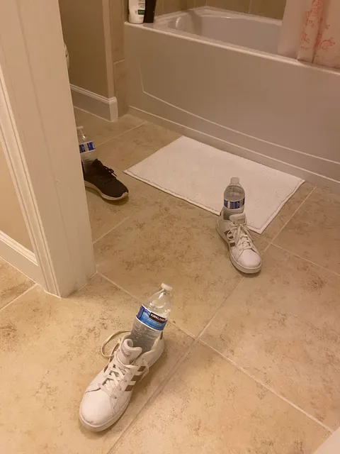 I cancelled a call mid-presentation bc my 9yo told me water was running all over her bathroom floor…