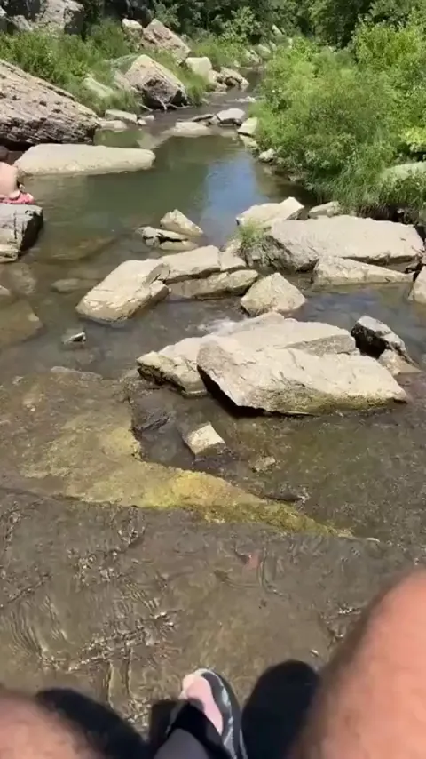 I did not know turtles eat snakes