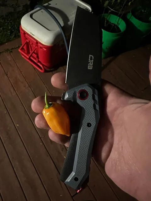 [homemade] nashville hot chicken salad sandwich. kinda.