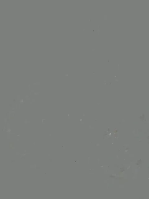 Would u take me from the rear?