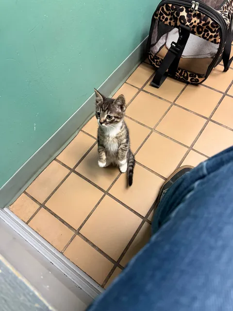 This is my little boy, Nanaki