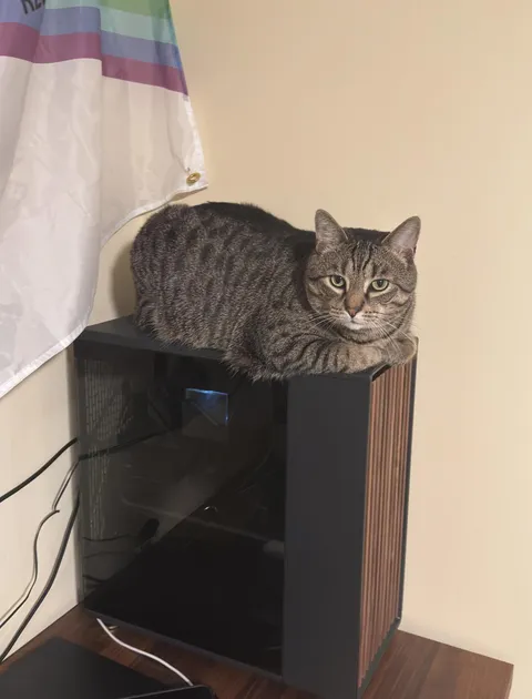 I get doing it when it’s on as a heat source but just because?