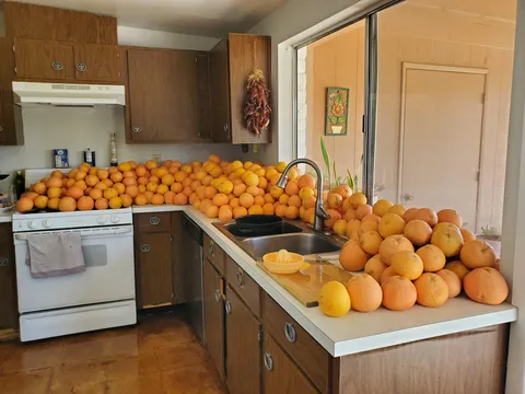 How many gallons do you guess this will make?