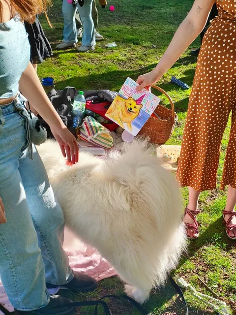 I went to Alori's dog birthday - delivered!