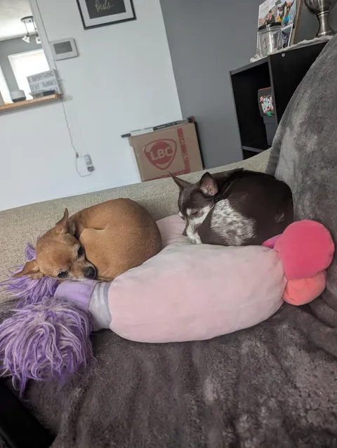 Bambi requested I post her this time