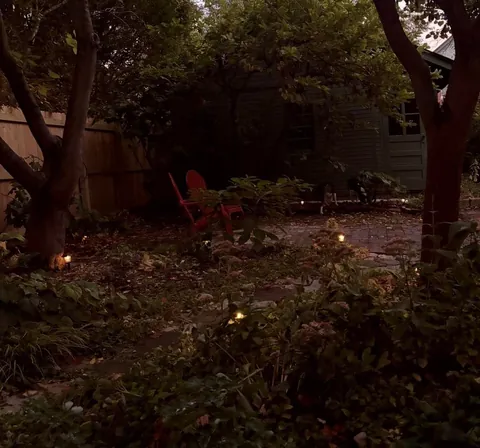 cozy chronicles - my life in stillness