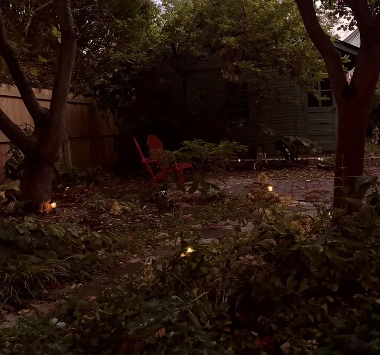 cozy chronicles - my life in stillness