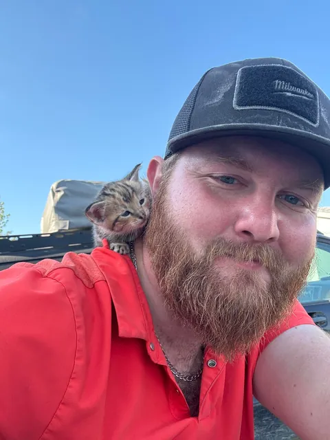 So a barn kitty adopted me