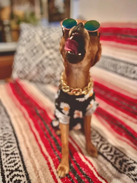 Folks call him DA BOY round these parts, his legal name is Mo