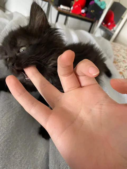 Before and After: Happy First Birthday Maevis!