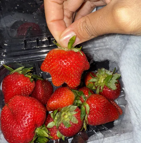 Why does this strawberry look like it has legs