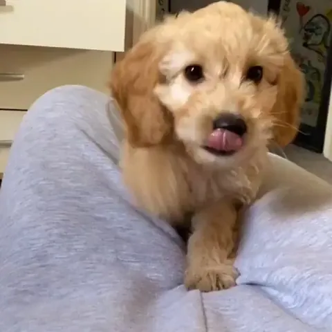 What is this invisible force that's attacking me?!