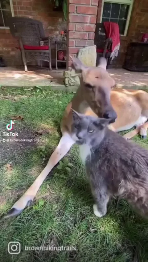 A friendship of 11 years