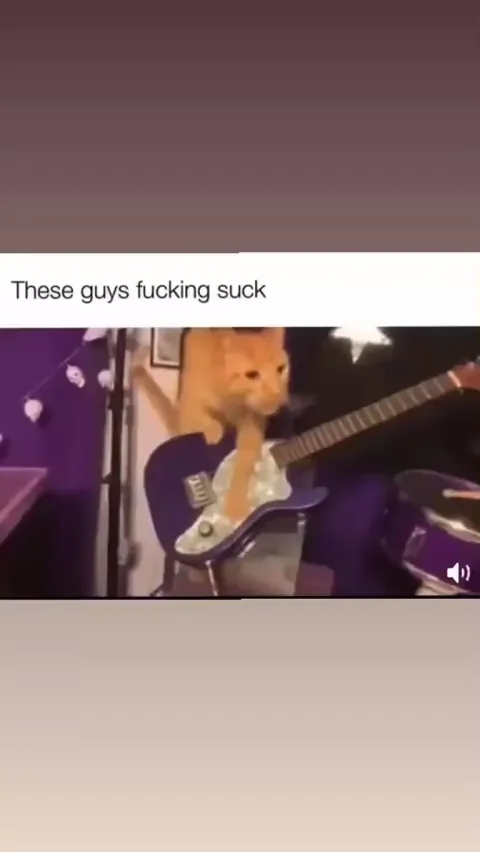 The Meow Mix musicians performing their new song