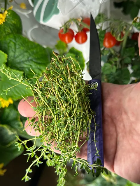 [homemade] pot roast