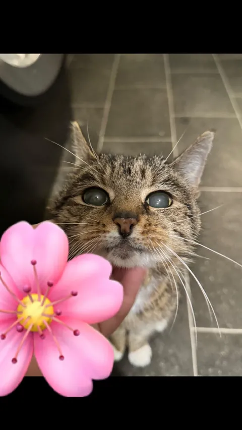 My 22 year old girl💖