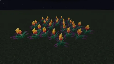 It's 2026 and Torch Flowers still don't emit any light source...