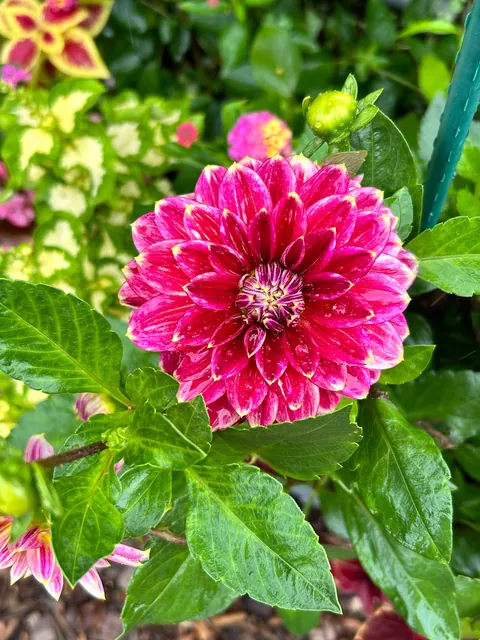 Reaping what I sowed as they say.