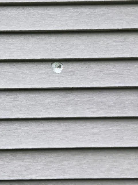 Somebody shot my house.