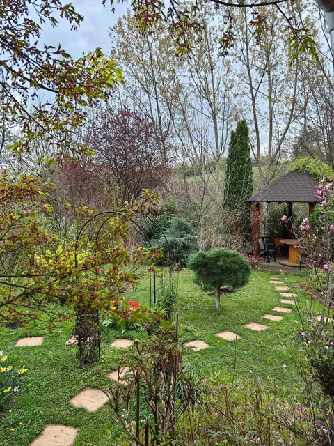 My garden in Serbia 🌿🇷🇸