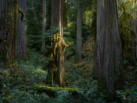 north shore Vancouver, Canada (OC)(1900x1425)