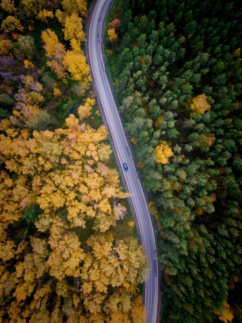 Between summer and autumn