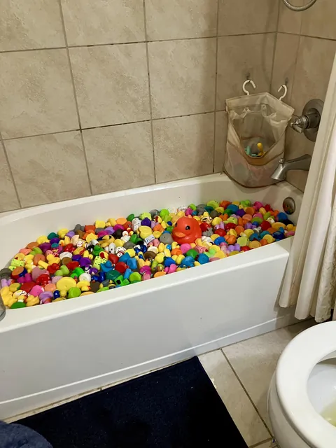 Wife’s rubber duck thing is getting weird. This was her bath.