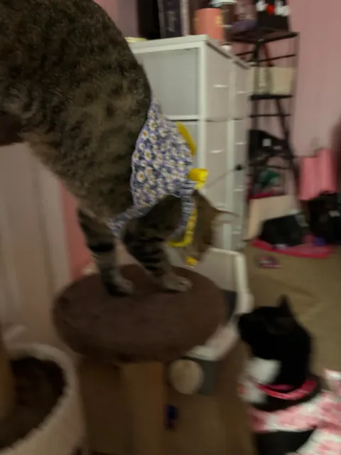 Why is she so short? She’s 1 years old now.