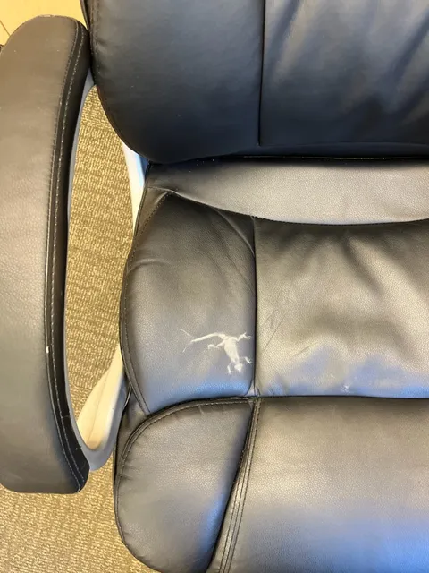 This lizard silhouette left on my office chair