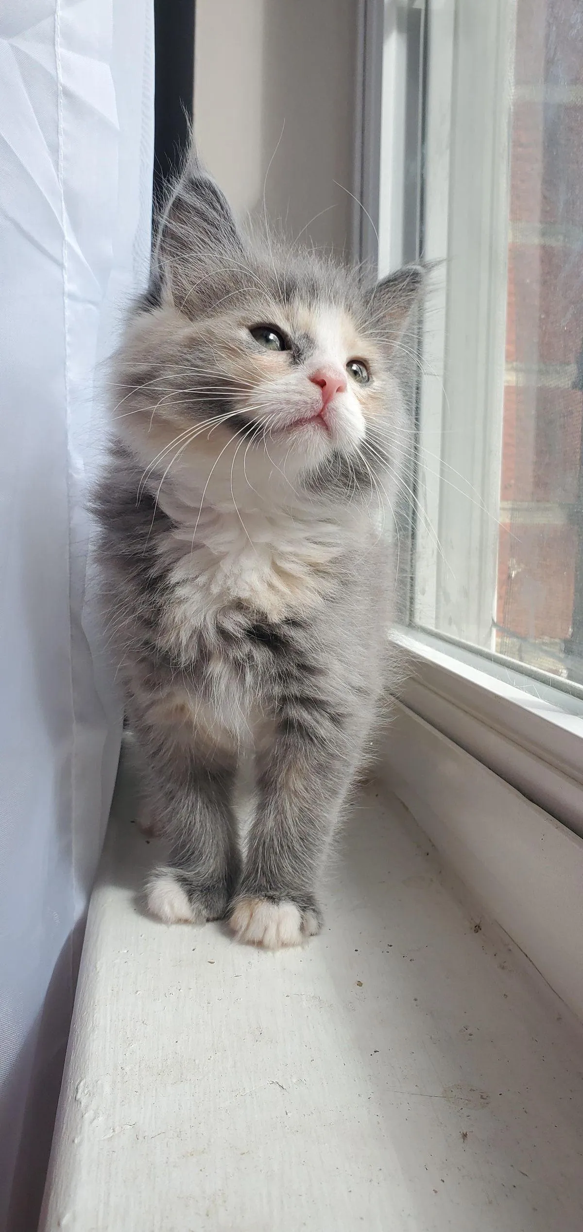Those eyes could melt anyone’s heart ❤️🐾