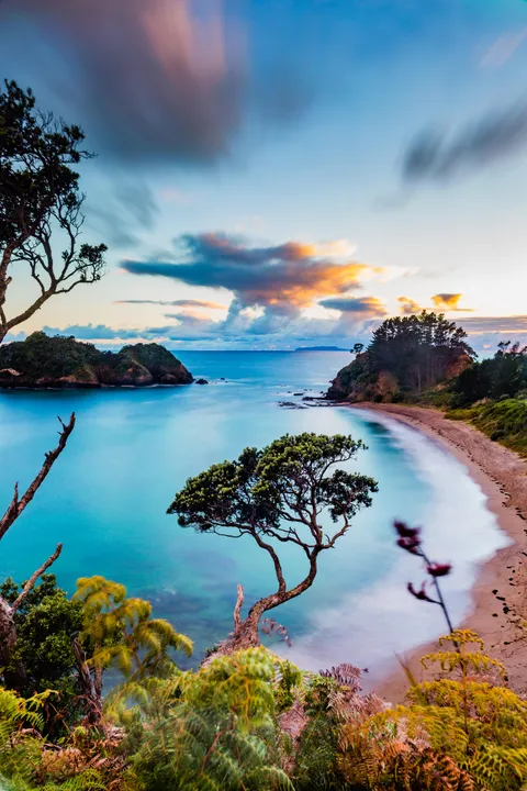 Summer Sunrise at Whananaki, New Zealand [OC] [3648x5472]
