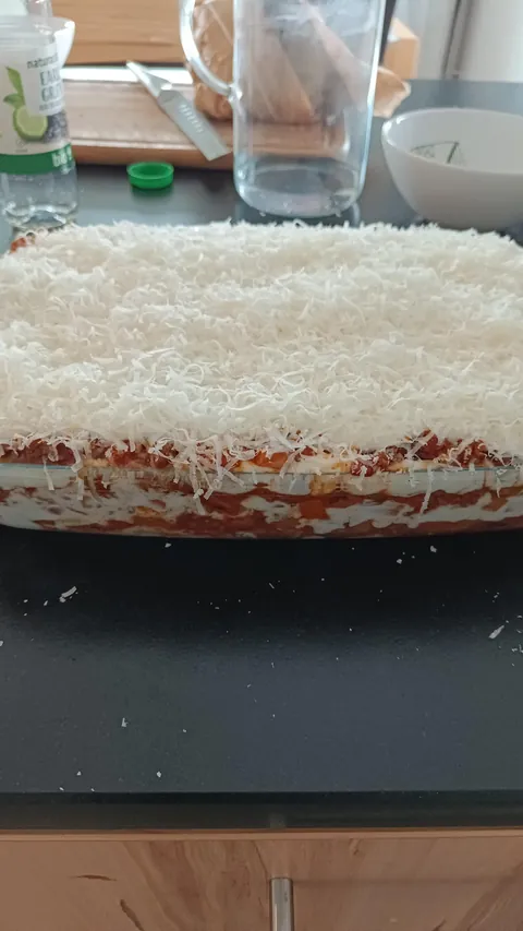 [homemade] Soggy Lasagna