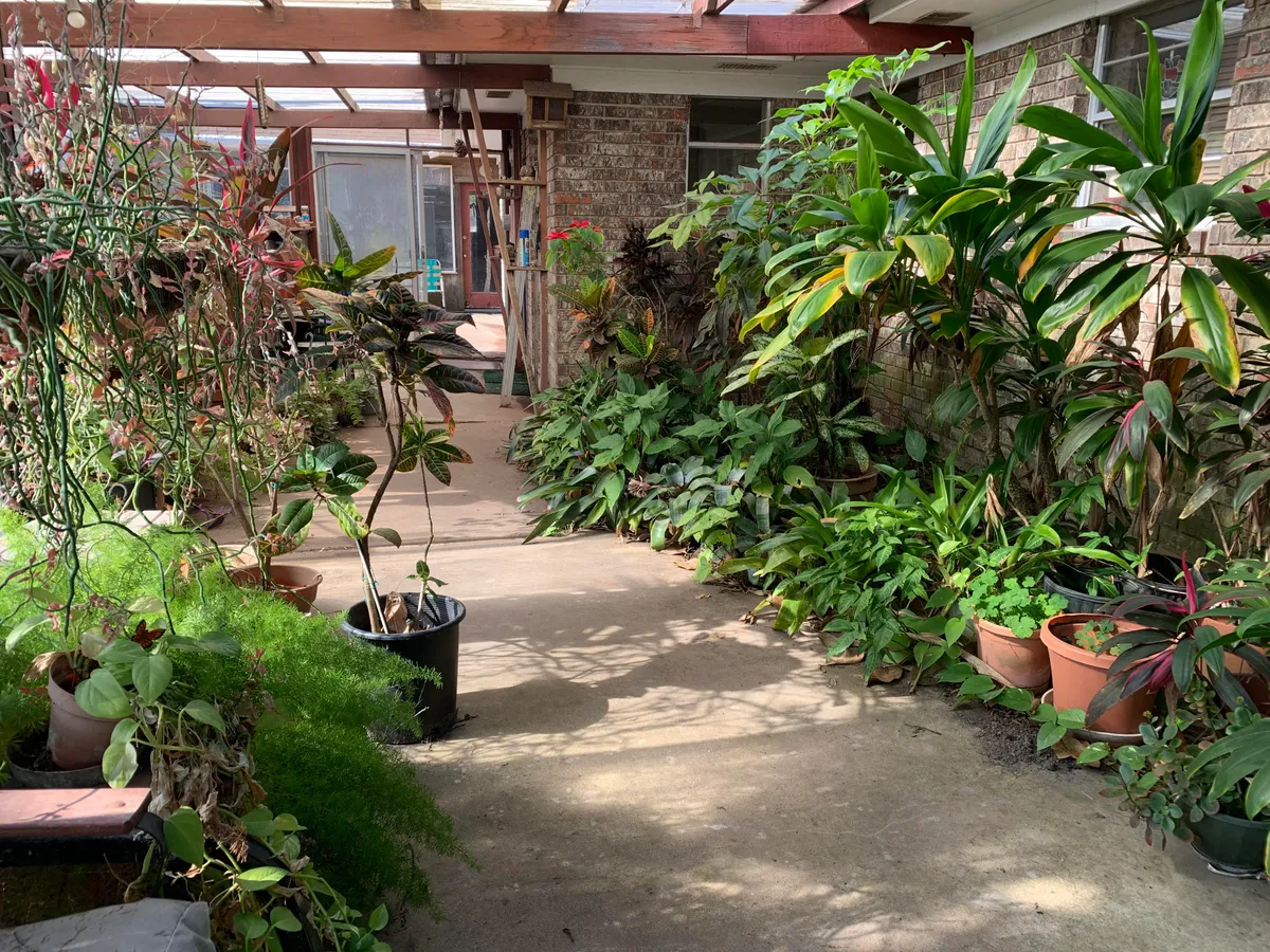 My pop is 93 yrs old and this is his patio!