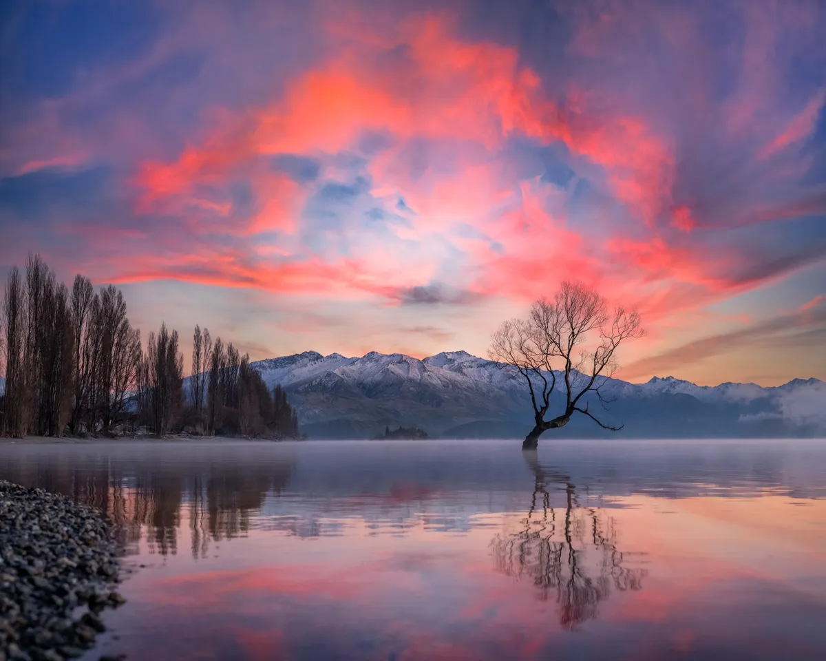 The Infamous Wanaka Tree! [OC] [2000x1600]