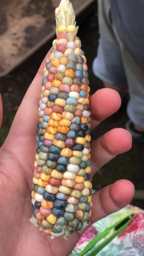 I’m so impressed with the colours! 🌈