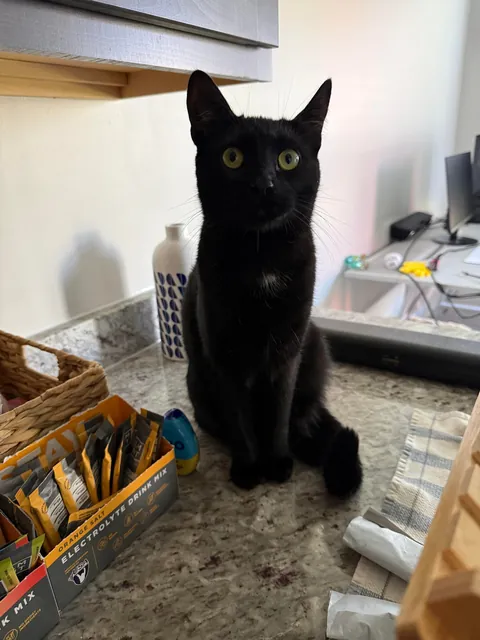 Soup Update: HE IS AN ADULT!!!