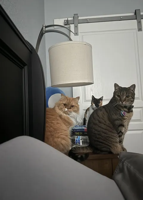 I overslept by 30 minutes and was late with breakfast.