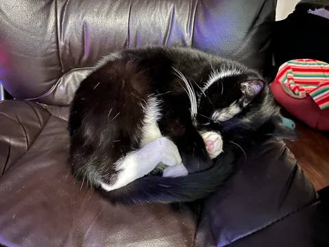 I never wanted to have to make this post. For my baby, Turkleton