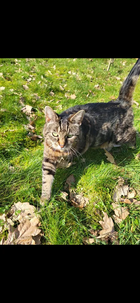 My baby just turned 16 today!! 🩷🎉