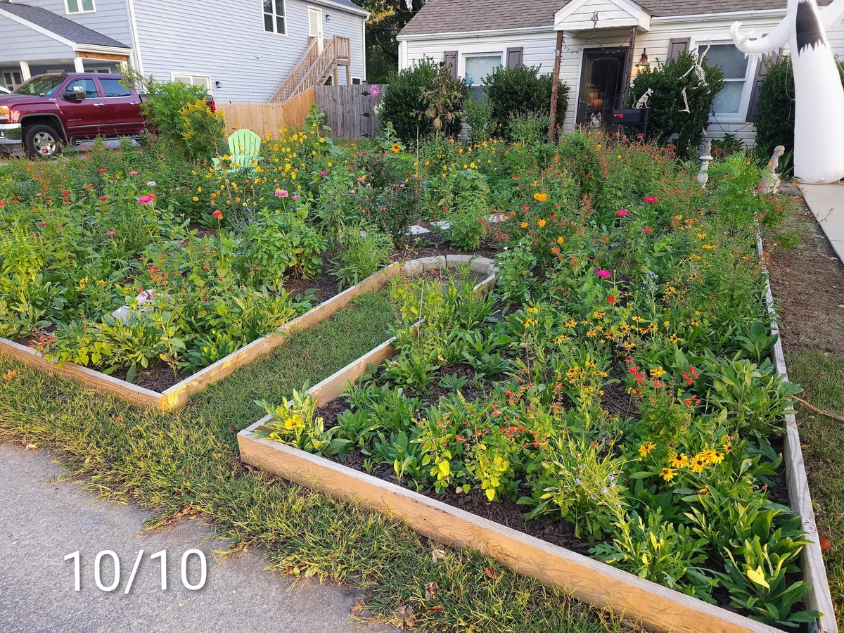 Pollinator garden UPDATE