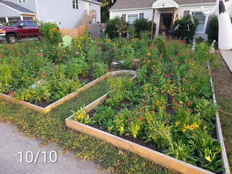 Pollinator garden UPDATE