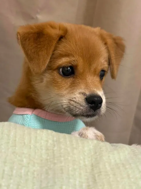 Just wanted to say hello with these eyes