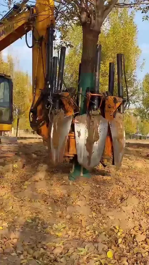 Perfect and safe way to remove a tree